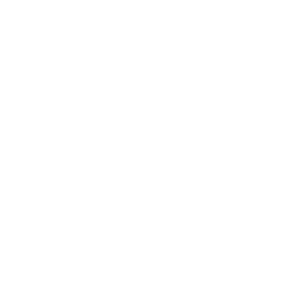 leadership